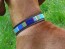 Blau gestreiftes Hundehalsband