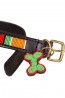 Farbenfrohes Hundehalsband